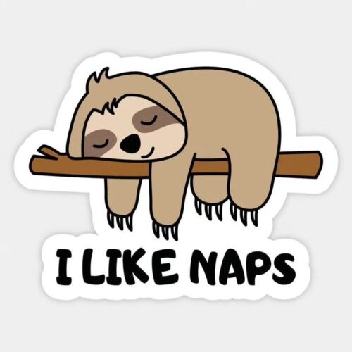 I LIKE NAPS-STICKER